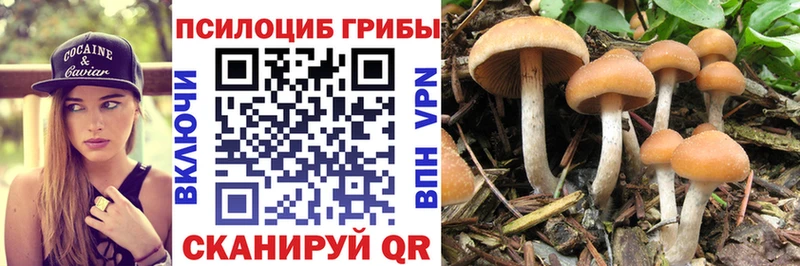 как найти закладки  Малаховка  Галлюциногенные грибы ЛСД 