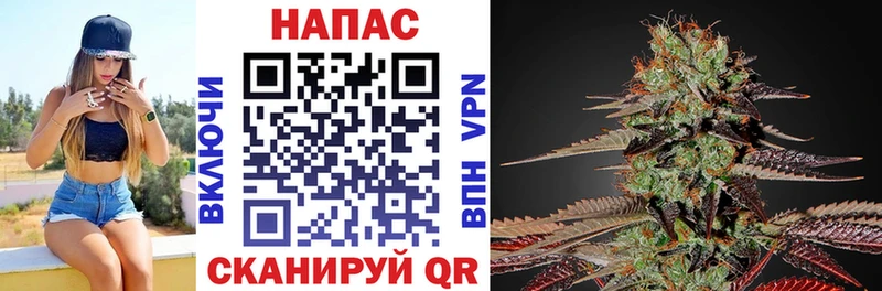 Конопля план Малаховка